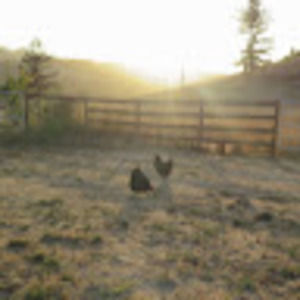 Meet your Posher, Douglas